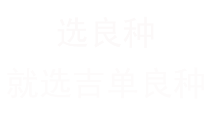 進口品牌芯片、三重防水設計